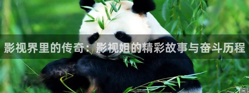 97影院理论：影视界里的传奇：影视姐的精彩故事与奋斗历程